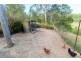 263 Raynbird Road, Narangba QLD 4504