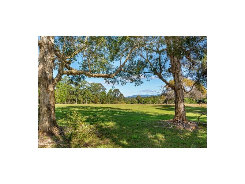 57 Carol-Anne Crescent, Narangba QLD 4504