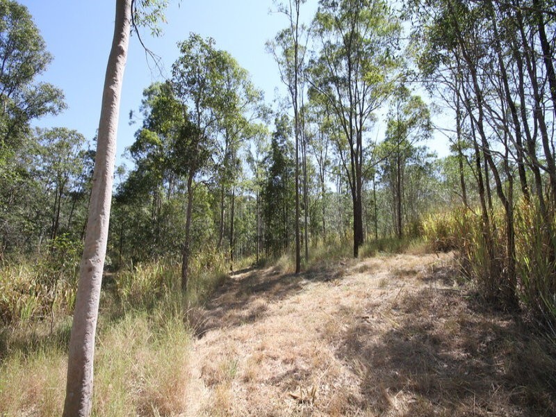 440 Diamondfield Road, Kandanga QLD 4570