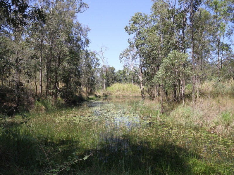 440 Diamondfield Road, Kandanga QLD 4570