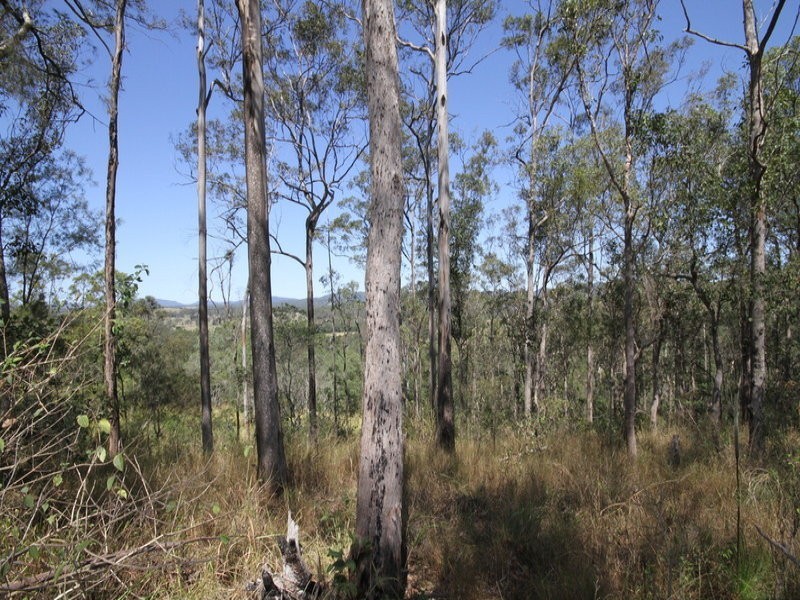 440 Diamondfield Road, Kandanga QLD 4570