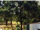 55 Pioneer Drive, Narangba QLD 4504