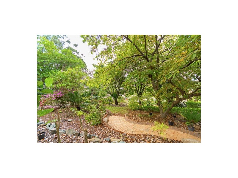 11 Young Road, Narangba QLD 4504