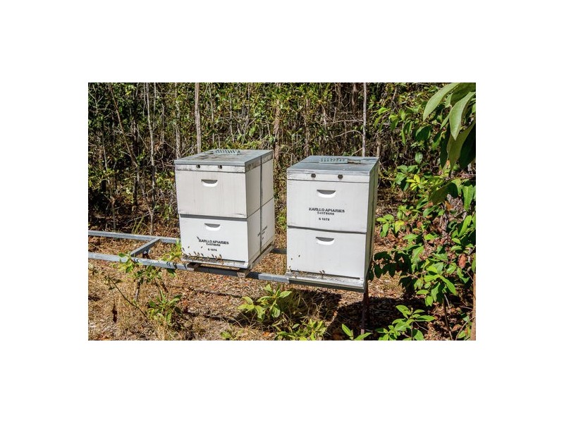 54 Jackson Road, Bellmere QLD 4510