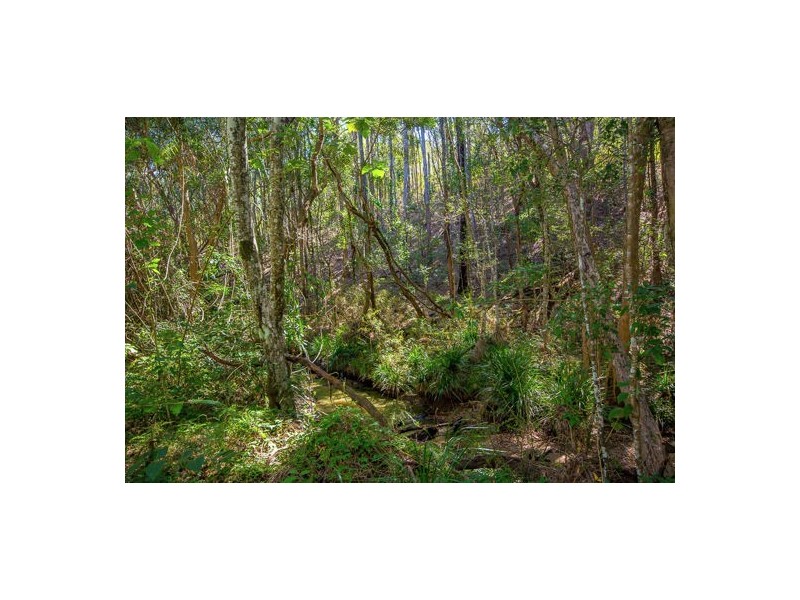 54 Jackson Road, Bellmere QLD 4510