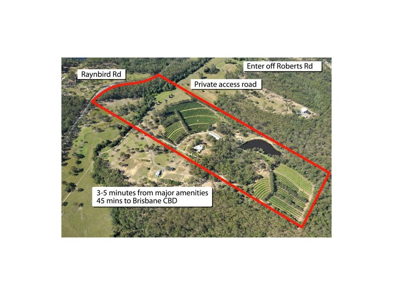 359 Raynbird Road, Narangba QLD 4504