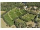 359 Raynbird Road, Narangba QLD 4504