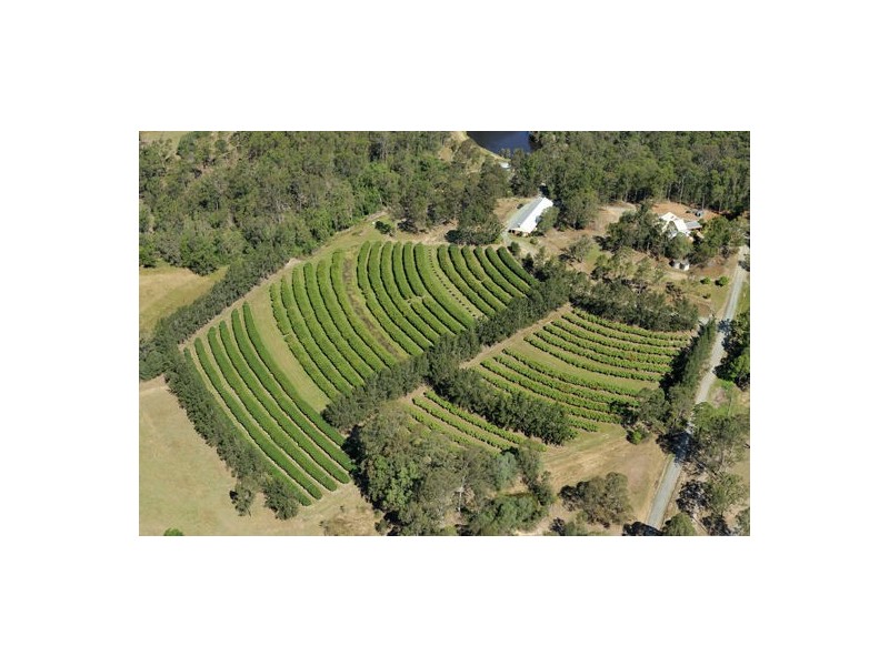 359 Raynbird Road, Narangba QLD 4504