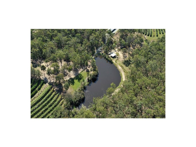 359 Raynbird Road, Narangba QLD 4504