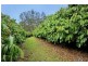 359 Raynbird Road, Narangba QLD 4504
