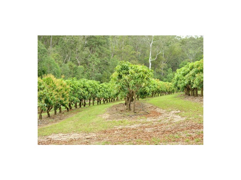359 Raynbird Road, Narangba QLD 4504