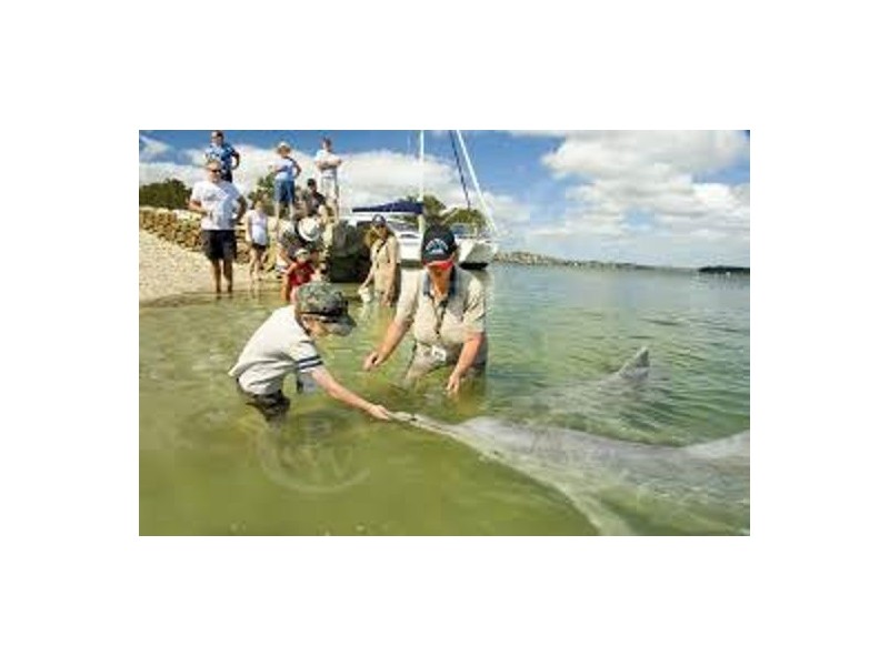 5 Elanda Court, Tin Can Bay QLD 4580