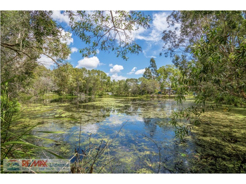 46 Currimundi Court, Burpengary QLD 4505