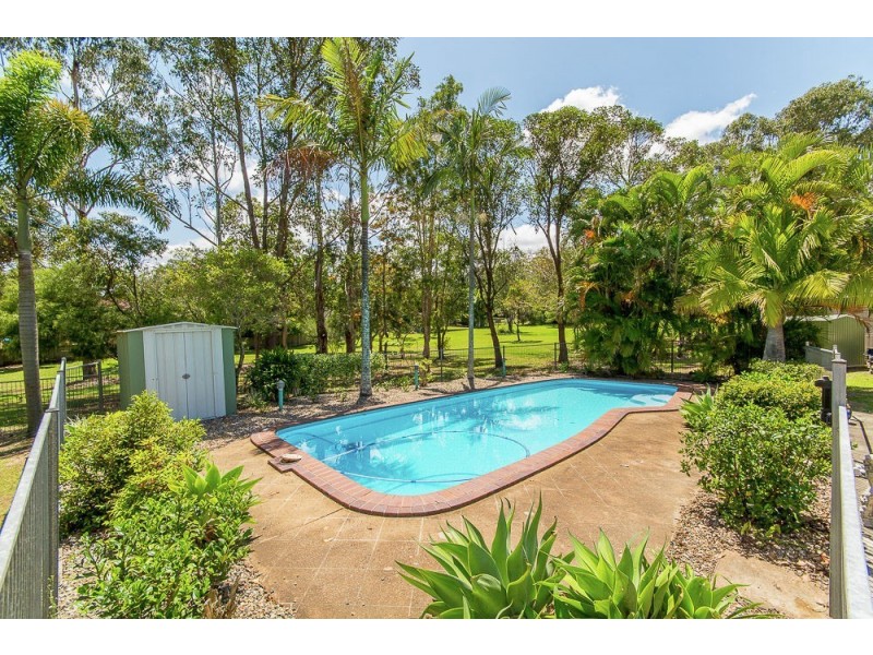 19 William Mac Court, Narangba QLD 4504