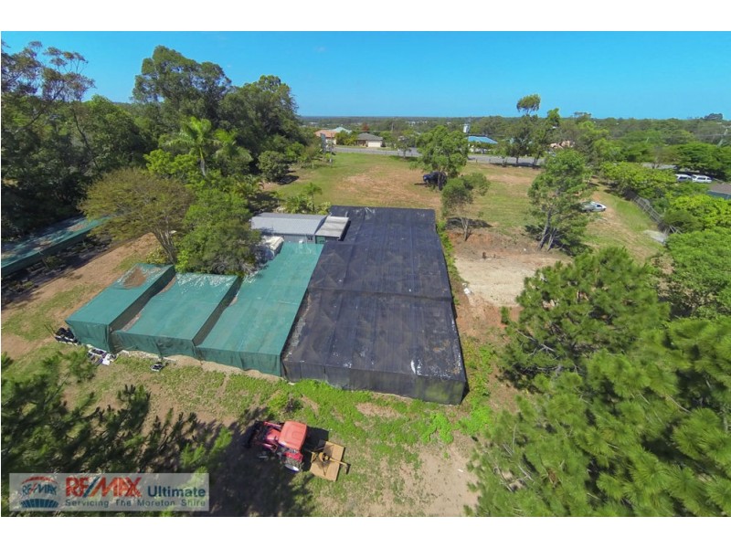 1115 Oakey Flat Road, Narangba QLD 4504
