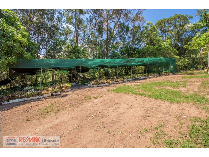 1115 Oakey Flat Road, Narangba QLD 4504