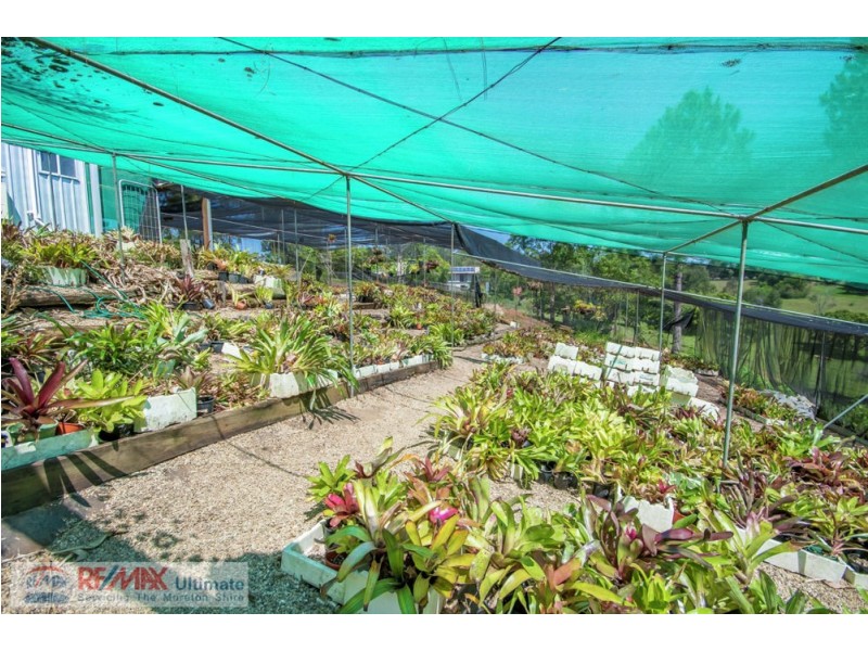 1115 Oakey Flat Road, Narangba QLD 4504