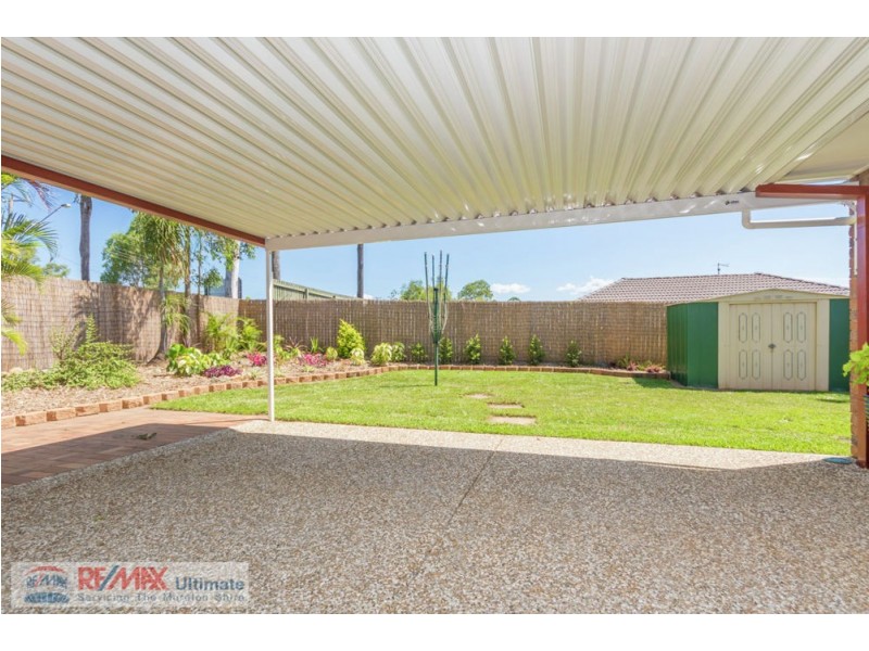 19 Daintree Street, Bellmere QLD 4510