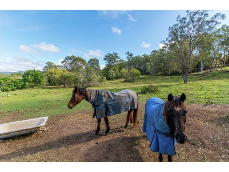 5 McCullagh Crescent, Narangba QLD 4504