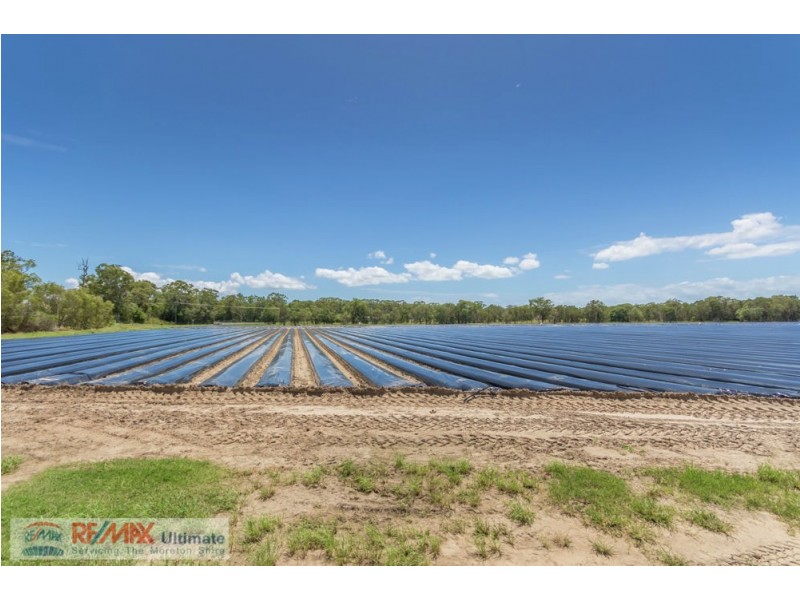 300 Donnybrook Road, Donnybrook QLD 4510