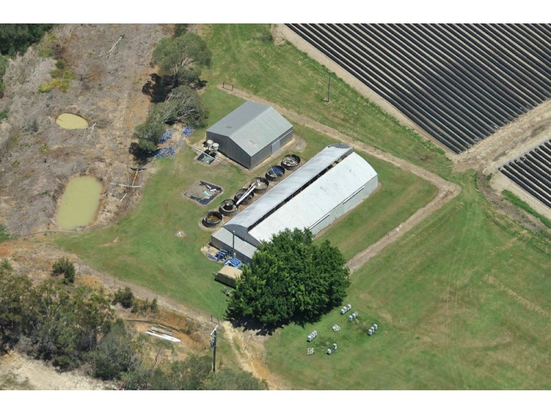 300 Donnybrook Road, Donnybrook QLD 4510