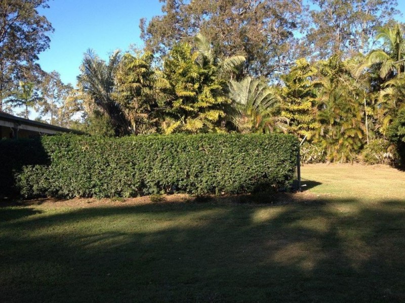 96 Callaghan Road, Narangba QLD 4504