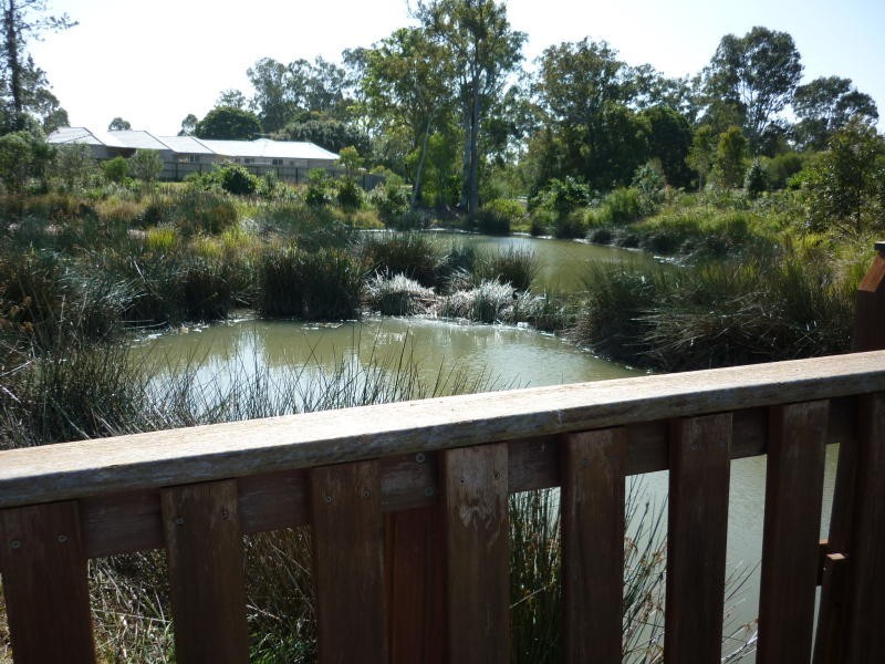 3 Kristen Court, Bellmere QLD 4510