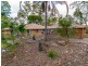 440 Oakey Flat Road, Morayfield QLD 4506