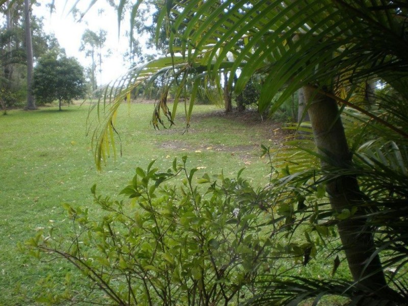 87 Raynbird Road, Narangba QLD 4504