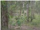 87 Raynbird Road, Narangba QLD 4504