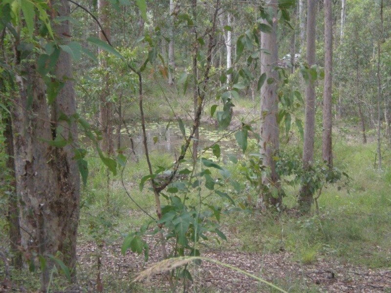 87 Raynbird Road, Narangba QLD 4504
