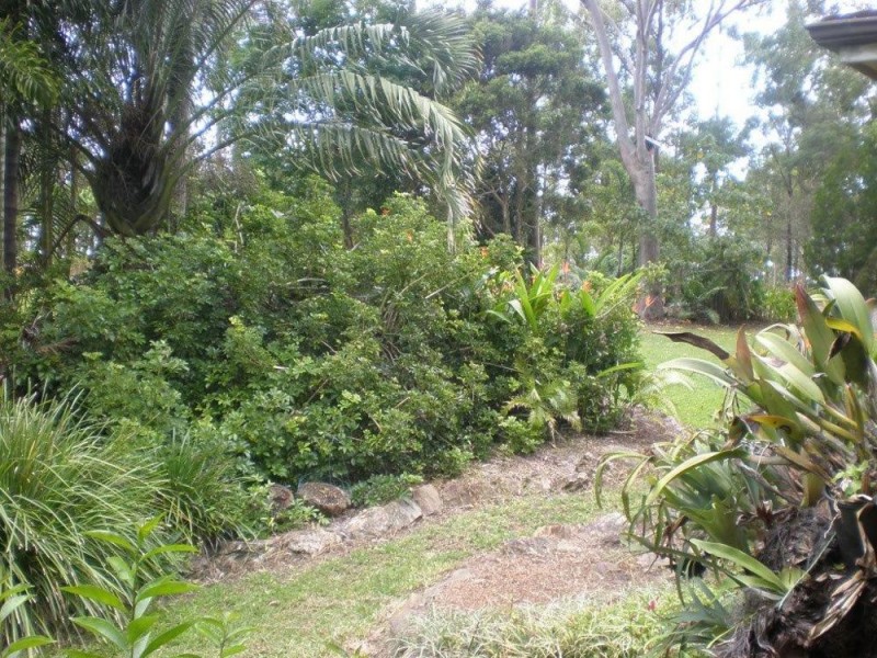 87 Raynbird Road, Narangba QLD 4504