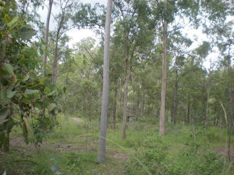 87 Raynbird Road, Narangba QLD 4504