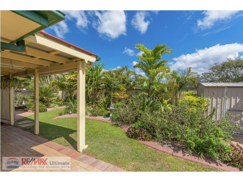 3 Waterlily Place, Caboolture South QLD 4510