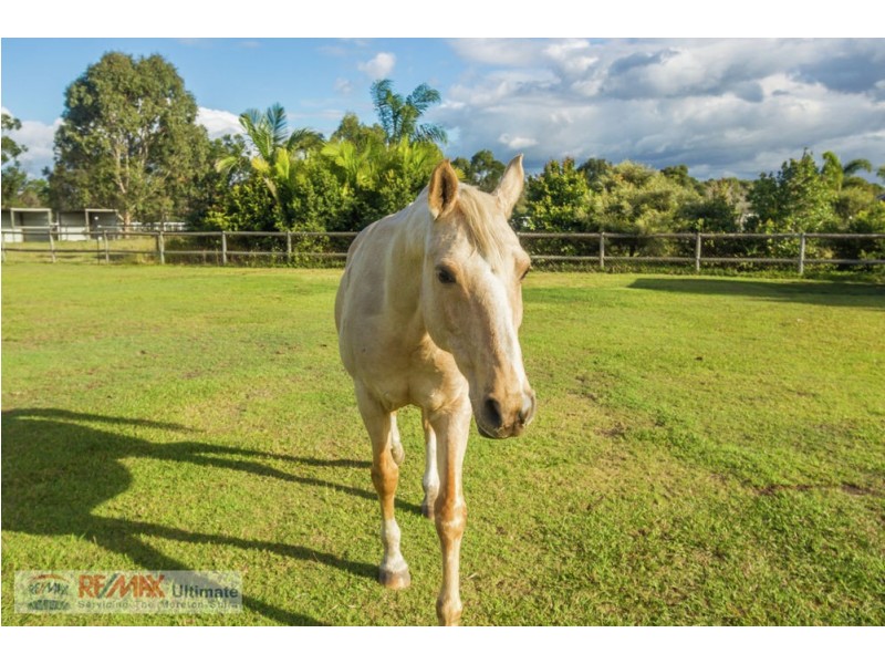 5-7 Flaxton Court, Ningi QLD 4511