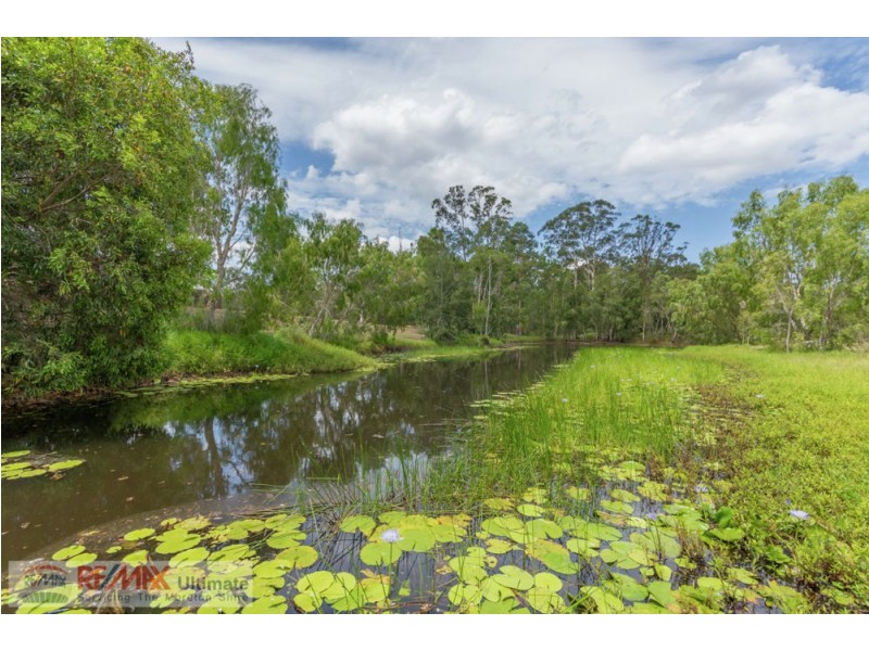 205-207 Alexandra Parade, Wamuran QLD 4512