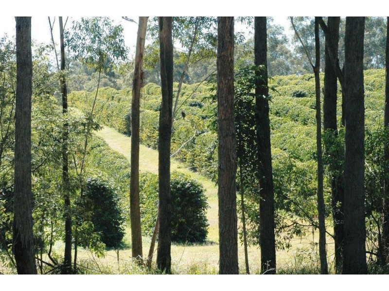 500 McConnell Road, Bracalba QLD 4512