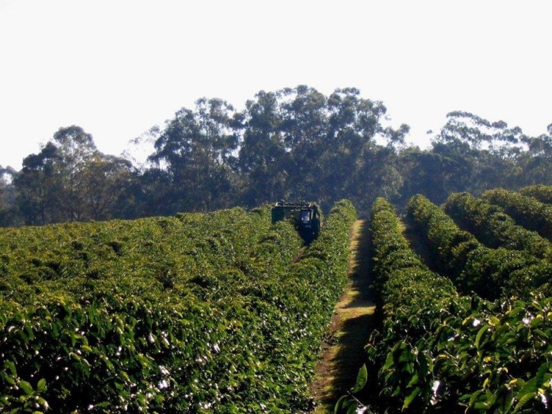 500 McConnell Road, Bracalba QLD 4512