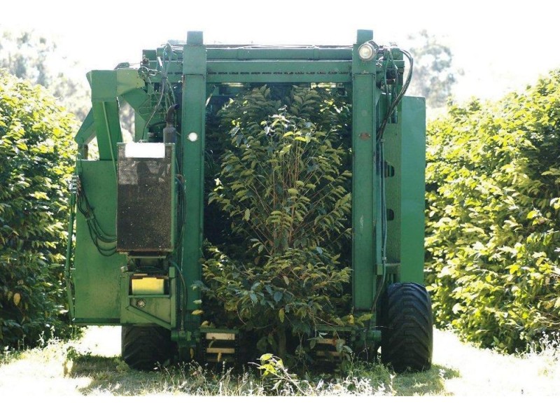 500 McConnell Road, Bracalba QLD 4512