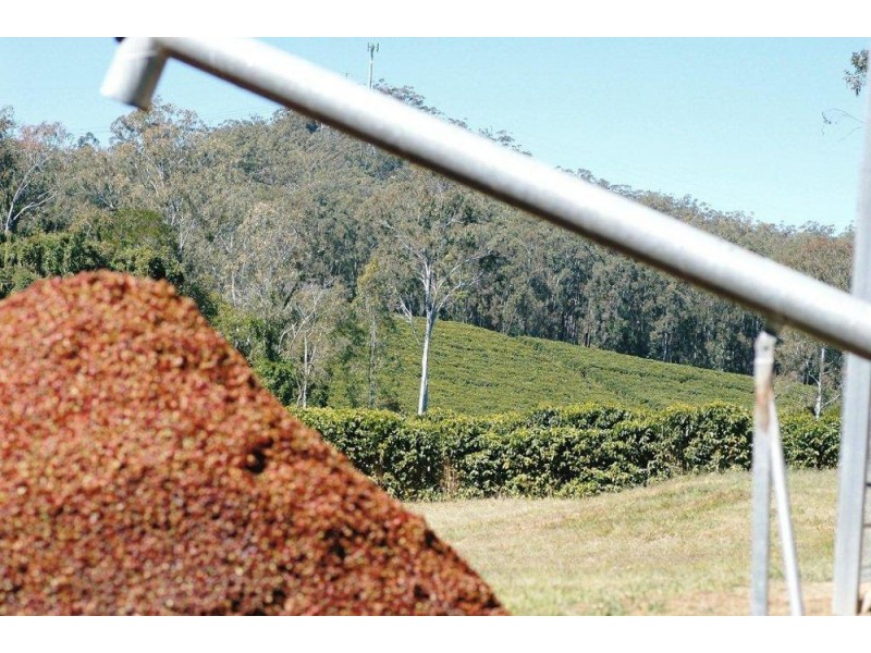 500 McConnell Road, Bracalba QLD 4512