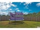 43 Begonia Court, Caboolture QLD 4510