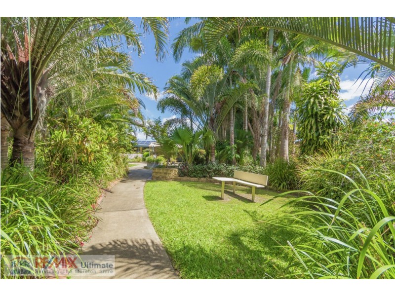 86/466 Steve Irwin Way, Beerburrum QLD 4517