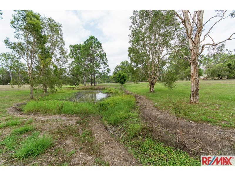 62 Adelong Court, Morayfield QLD 4506