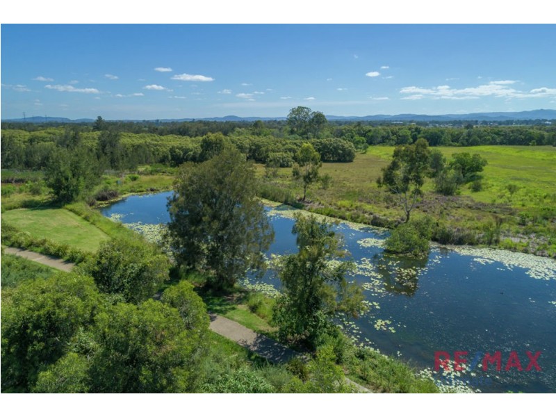17 Whittome Esplanade, Murrumba Downs QLD 4503