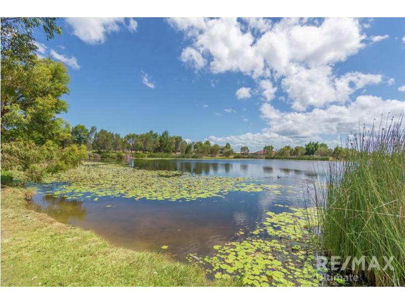 43 Joyner Circuit, Caboolture QLD 4510