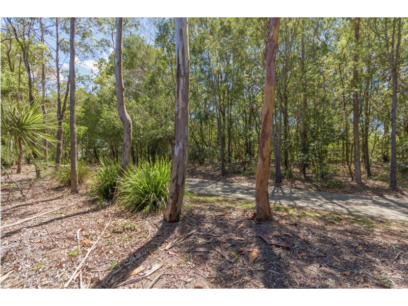 34 Whittfield Crescent, North Lakes QLD 4509