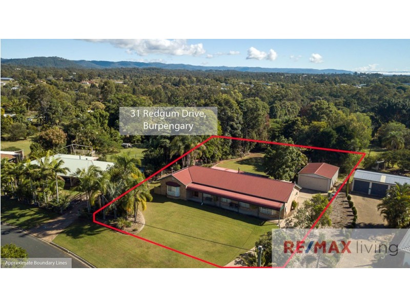 31 Redgum Drive, Burpengary QLD 4505