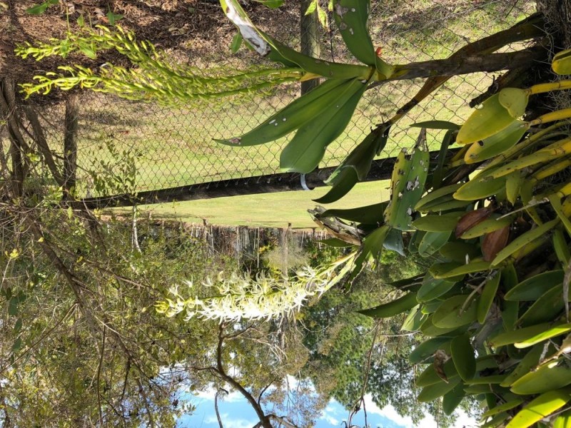 24-26 Golden Drive, Caboolture QLD 4510