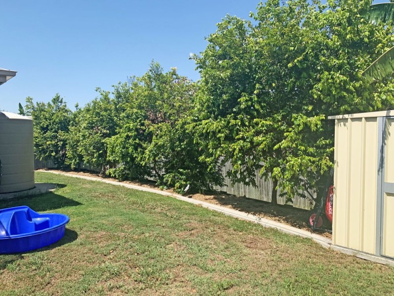 19 Baphal Crescent, Narangba QLD 4504