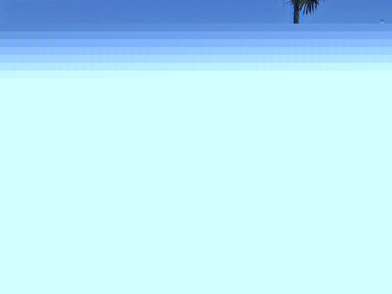 323 Petersen Road, Morayfield QLD 4506